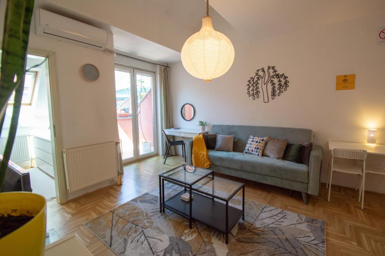 Spacious 1-Bedroom Apartment Novi Sad Bagian luar foto