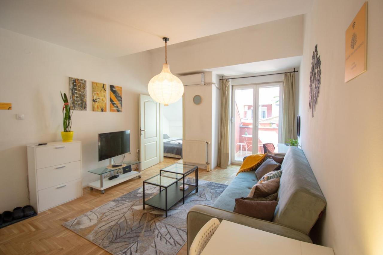 Spacious 1-Bedroom Apartment Novi Sad Bagian luar foto