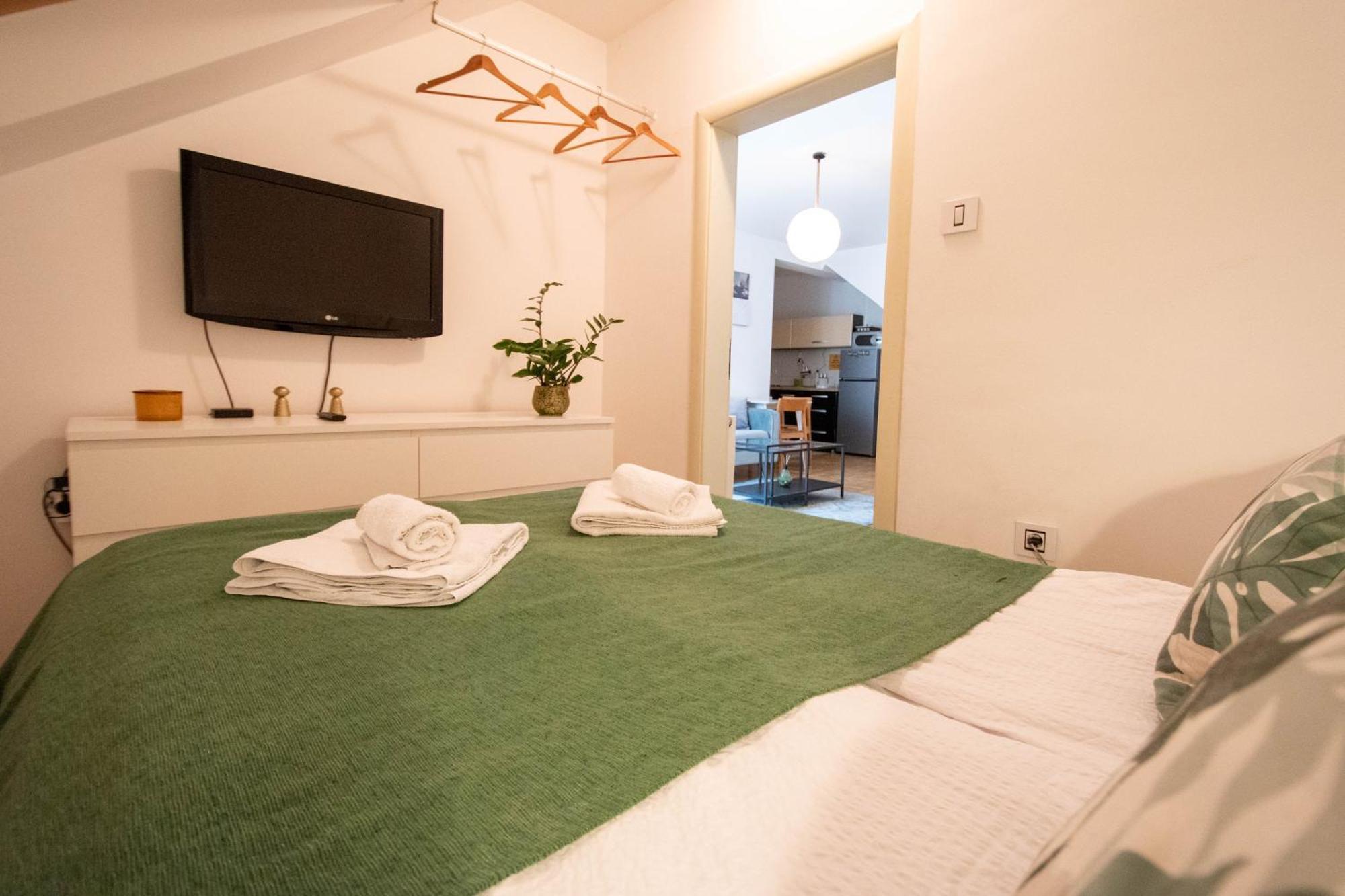 Spacious 1-Bedroom Apartment Novi Sad Bagian luar foto